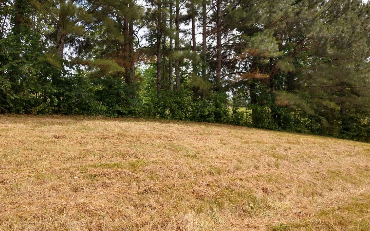 1775 Hwy 64 W, Hayesville, NC 28904